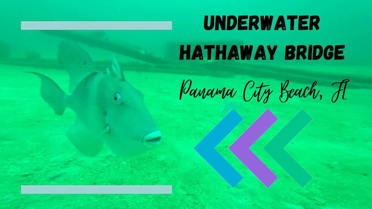 Putting a GOPRO down on Hathaway Bridge Rubble in Panama City Beach Florida.