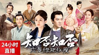 《知否知否应是绿肥红瘦》24小时不间断直播！男权封建社会，庶女赵丽颖一步登天！