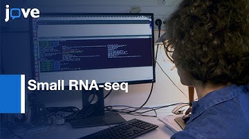 Small RNA-seq to detect 2-prime Methyl RNAs | Protocol Preview
