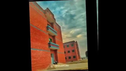 MNS UNIVERSITY OF AGRICULTURE MULTAN