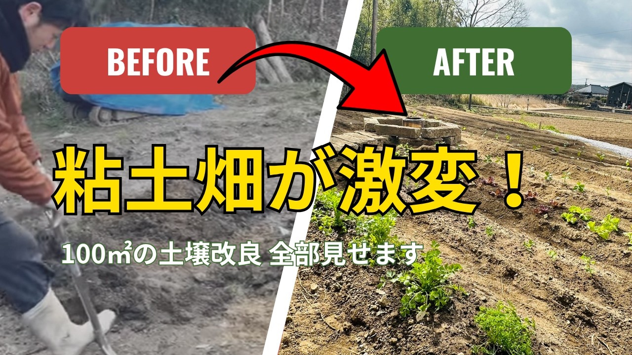 Before → After] A muddy clay field transformed! We'll show you