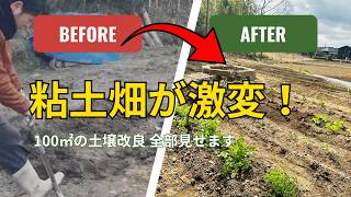 残土(畑の土) 畑土・残土あげます 募集中 【公式通販】