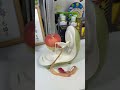 The peeler my mom bought