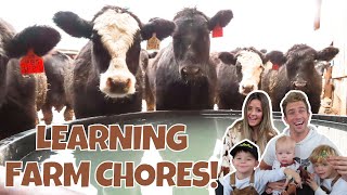 Little Cowboys Learn Farm Chores! KIDS FEED COWS/CATTLE DRIVE/FARM TOYS/TRACTOR by The Roshek Family 49,610 views 1 year ago 16 minutes