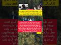 "Ali Amin Gandapur Slammed Over Flood Crisis | Pakistan Relief Appeal"