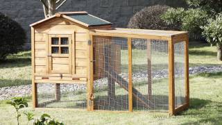 chicken enclosed run coop roost mesh patio modular