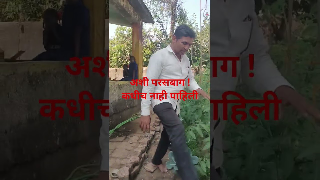 कमी जागेत परसबाग / School garden / Kitchen Garden /​