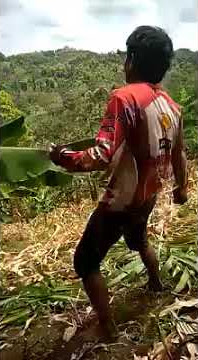 Orang gila berkelahi sama pohon pisang