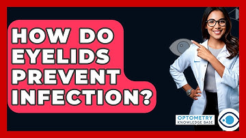 How Do Eyelids Prevent Infection? - Optometry Knowledge Base