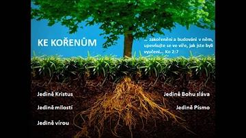 Jak se dělí rastrová písma?