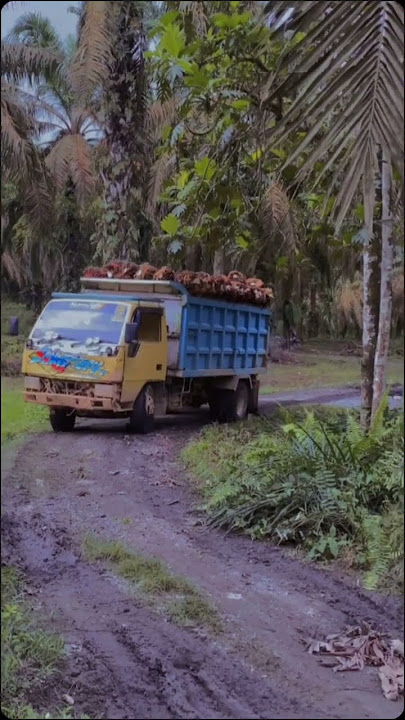 salam satu aspal tiga pedal #automobile #stopandgoditanjakan #storywa #ljarangjumpamotor
