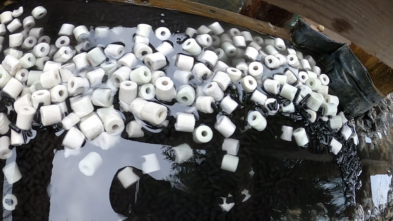 Wrzuciłem to do stawu!!!