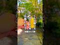 どんな願いも叶えてくれると噂の​京都のお寺『鈴虫寺』​​#PR #鈴虫寺 #幸福御守 #幸福地蔵 #京都嵐山 #京都 #京都観光 #京都旅行 #嵐山観光 #京都旅 #神社仏閣
