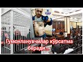 Дилшод Тўрахўжаев суди. 17.10.23. Бугун гумонланувчилар кўрсатма беради.