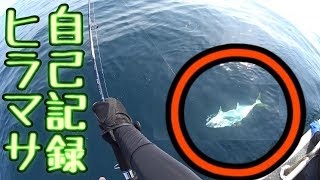 オフショアジギング ヒラマサ自己記録更新！90cmオーバー！