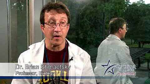 Tutoring Throwback - An Interview with Dr. Brian S...