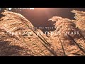 Japanese pampas grass | Cinematic Vlog -When Memories Melt Away with Time-
