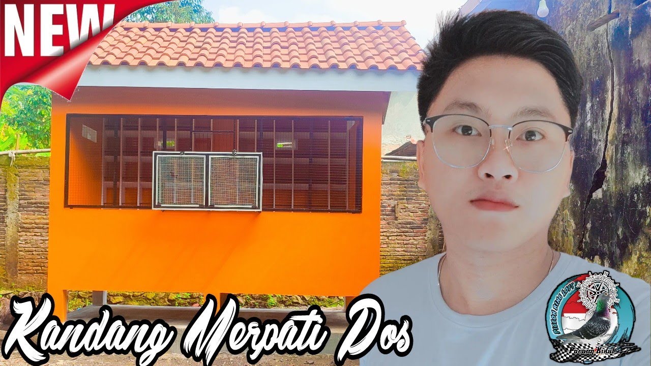 Kandang Merpati Pos #pigeonloft #merpatipos #pigeonracing
