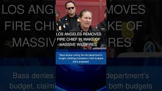 Los Angeles removes fire chief in wake of massive wildfires