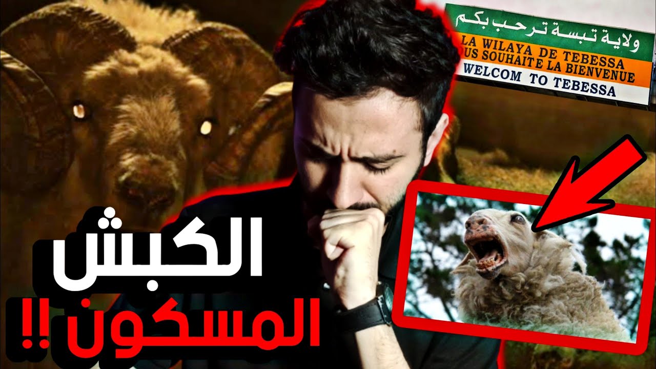 قصة الجزائري المرعبة الذي ذبح جن في عيد الأضحى!