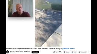 The Anti Dog Trainer - Control and Influence takes a Walk - Pt 3