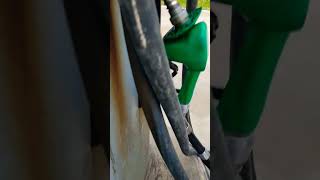 Do You Pee On The Floor Too?