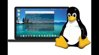 Обзор страницы курса - Администрирование Linux.
