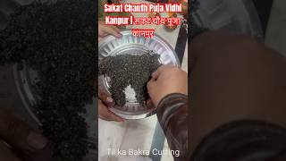 Sakat Chauth Puja Vidhi सकट चथ पज कनपर