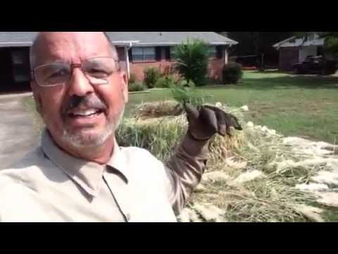 How NOT to Landscape a Rental Property