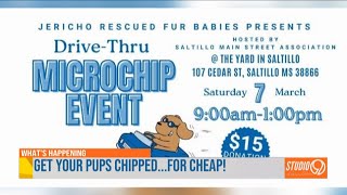 Studio 9 Interview: Drive-thru microchip event on March 7 in Saltillo