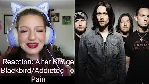 Reaction: Alter Bridge Blackbird/Addicted To Pain