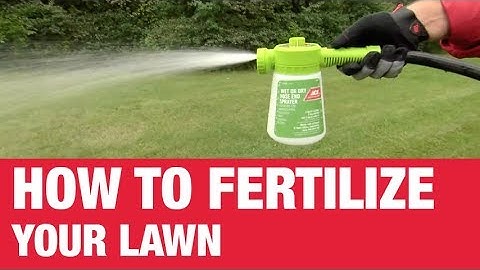 How to Fertilize Your Lawn - Ace Hardware