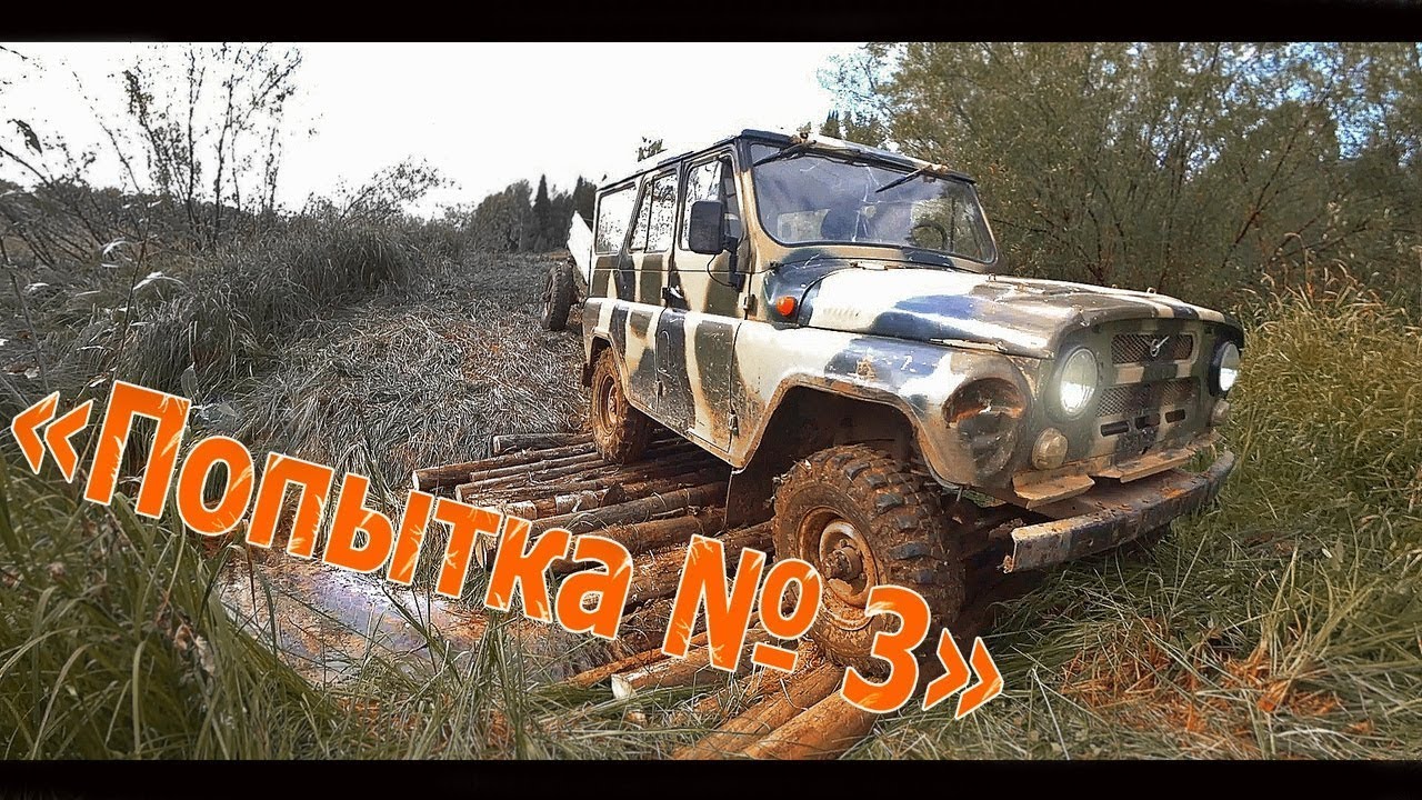 Освободил березку из ЖЕЛЕЗНОГО ПЛЕНА! Не зря просидел всю ночь на ...