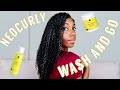 Wash and Go Using NeoCurly by The Curly Bev Show