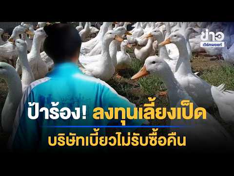 Auntie cries foul! Duck farming investment scam: Company refuses to buy back | News Shake-Up | Se...