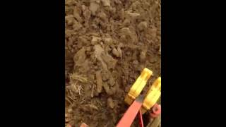Power King 2414