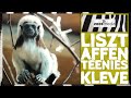 Tiergarten Kleve: Neues vom LISZTAFFEN-Nachwuchs | zoos.media