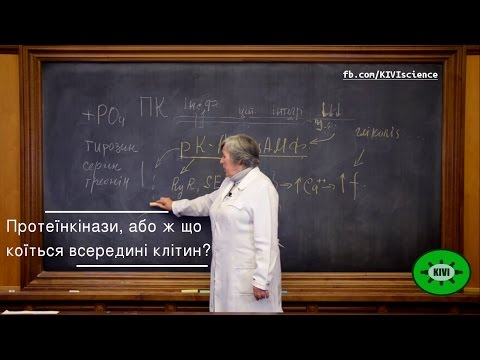 Протеинкиназы, или что происходит внутри клетки