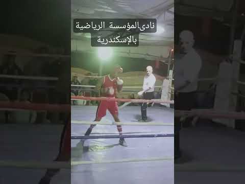 الدورة الرمضانية للملاكمة بنادي المؤسسة الرياضية بالإسكندرية دورة الكابتن حسن السخاوى