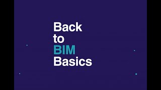 How to implement BIM