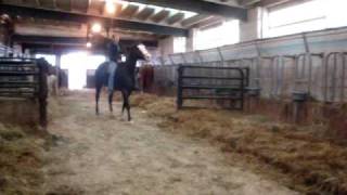 MOV08032.MPG