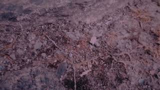 the Model Spy - Sweet Times, Shooting Star [Official Video] screenshot 3