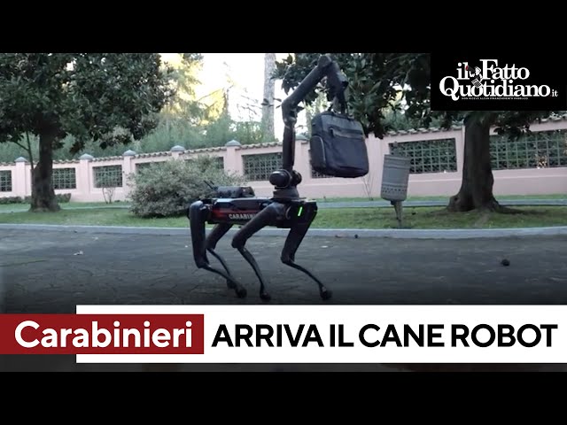 Arruolato Saetta, il primo cane robot dei carabinieri: novità