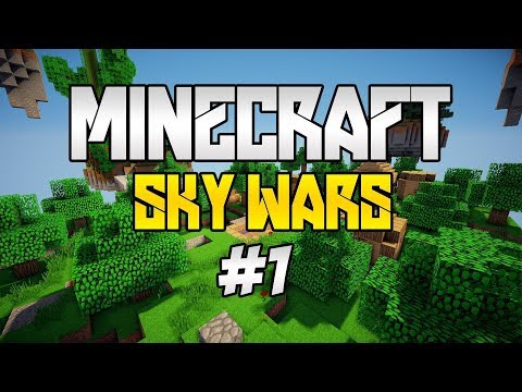 Sky Wars - საშინელი თამაში ჩემი შესრულებით!