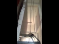 Prince aadvanshi training