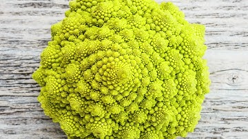 Part 2: Spirals in Nature