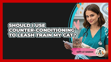 Should I Use Counter-conditioning To Leash Train My Cat? - Happy Cat Handbook