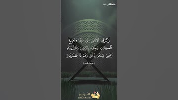 وأشرقت الأرض بنور ربها، تلاوة خاشعة ومؤثرة من سورة الزمر بصوت القارئ مصطفى جيد حفظه الله