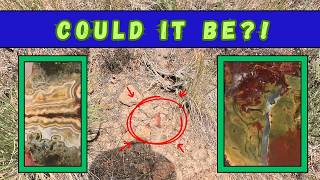 Incredible Jasper Discovery Near Bear Creek, Idaho!