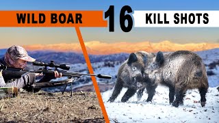 Compilation tirs de sangliers géants au Tadjikistan 2024 / Hunting shots in Tajikistan /  Wild boars